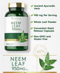 Carlyle Neem Leaf | 950Mg | 300 Powder Capsules | Non-Gmo And Gluten Free Formula | Value Size | Traditional Herbal Supplement |