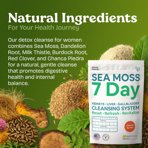 Atlantic Naturals Sea Moss 7 Day Detox Liver Gallbladder and Kidney Cleanse Support with Dandelion Root Milk Thistle Burdock Root Red Clover Chanca Piedra Pineapple Flavor Drink Mix (14 oz)