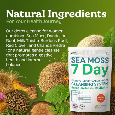 Atlantic Naturals Sea Moss 7 Day Detox Liver Gallbladder & Kidney Cleanse - Support With Dandelion Root Milk Thistle Burdock Root Red Clover Chanca Piedra - Pineapple Flavor Drink Mix (14 Oz)