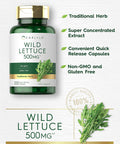 Carlyle Wild Lettuce Extract 500mg | 200 Capsules | Non-GMO Gluten Supplement