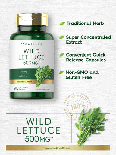 Carlyle Wild Lettuce Extract 500Mg | 200 Capsules | Non-Gmo, Gluten Free Supplement
