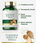 Carlyle Pueraria Mirifica Capsules | 1000mg | 120 Count | Root Extract | Non-GMO & Gluten Supplement