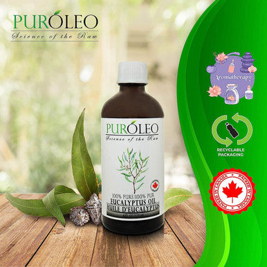 PUROLEO Eucalyptus Essential Oil, 4 FL OZ/120 ML (Large Bottle) 100% Pure | Natural Aromatherapy Oil for Diffuser Steam Distilled (MADE IN CANADA)