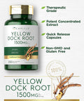 Carlyle Yellow Dock Root Capsules 1500mg | 200 Count | Non-GMO Gluten | High Potency Formula | Traditional Herb