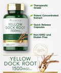 Carlyle Yellow Dock Root Capsules 1500Mg | 200 Count | Non-Gmo, Gluten Free | High Potency Formula | Traditional Herb