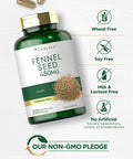 Carlyle Fennel Seed 480mg | 200 Capsules | Herbal Supplement | Non-GMO