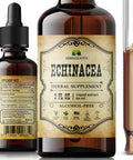 HERBALICIOUS Ecea Supplement - Natural Root Extract Liquid Drops - Antioxidant Rich Formula For Immune Function Support - Vegan Herbal Tincture - Non-Gmo, Alcohol-Free & Gluten-Free - 2 Fl. Oz.
