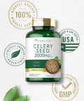 Carlyle Celery Seed Extract Capsules | 2000mg | 240 Count | Traditional Herb Supplement | Non-GMO and Gluten Formula