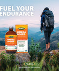 Flora Omega Sport 369 Oil Blend MCTs Turmeric Vitamin D Vegetarian Alternative to Fish Oil Supports Joint Health Antiinflammatory Soy Free Vegetarian Omega Oil 17fl. oz. Glass Bottle