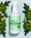Natures Sunshine Chlorophyll Liquid 16 fl. oz Kosher Fresh Mint Chlorophyllin Assists Detoxification and Provides Intestinal Immune and Digestive System Support