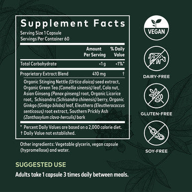 Gaia Herbs Energy Vitality - Energy Support Supplement to Maintain Healthy Energy and Levels - with Ginkgo, Ginseng, Green Tea, and Nettle* - 60 Vegan Liquid Phyto-Capsules (20-Day Supply)