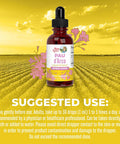Maryruth Organics PAU d'Arco Bark Liquid Herbal Supplement | Immune Support Digestive & Gut Health | Echinacea Usnea Lichen Reishi Mushroom Thyme Leaf | Vegan Non-GMO | 1 Fl Oz 1 Month Supply