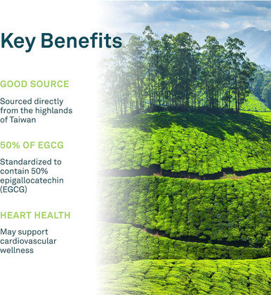 Organika Green Tea Extract 60 Vcaps