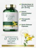 Carlyle St John's Wort Capsules | 4800mg | 300 Count | Non-GMO & Gluten Supplement | Standardized Extract