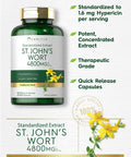 Carlyle St John'S Wort Supplement | 4800Mg | 300 Capsules | Non-Gmo & Gluten Free | Standardized Extract