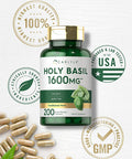 Carlyle Holy Basil 1600 Mg | 200 Capsules | Tulsi Holy Basil Leaf Extract | Herbal Supplement | Non-Gmo, Gluten Free