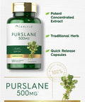 Carlyle Purslane Capsules 500Mg | 120 Count | 4:1 Extract Supplement | Portulaca Oleracea | Traditional Herb | Non-Gmo, Gluten