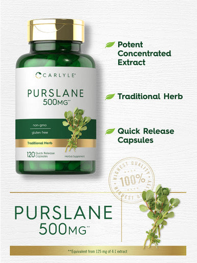 Carlyle Purslane Capsules 500Mg | 120 Count | 4:1 Extract Supplement | Portulaca Oleracea | Traditional Herb | Non-Gmo, Gluten