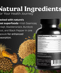 Atlantic Naturals Sea Moss Capsules with Moringa Ashwagandha Black Seed Oil Ginger and Ginseng Atlantic Sea Moss Supplements for Men and Women for Daily Energy and Wellness Blend 120 Count