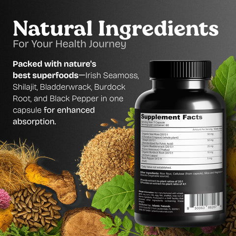 Atlantic Naturals Sea Moss Capsules with Moringa Ashwagandha Black Seed Oil Ginger and Ginseng Atlantic Sea Moss Supplements for Men and Women for Daily Energy and Wellness Blend 120 Count