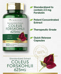 Carlyle Coleus Forskohlii Capsules | 625mg | 100 Count | Non-GMO & Gluten Standardized Extract | Forskolin Supplement