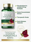 Carlyle Coleus Forskohlii Capsules | 625mg | 100 Count | Non-GMO & Gluten Standardized Extract | Forskolin Supplement
