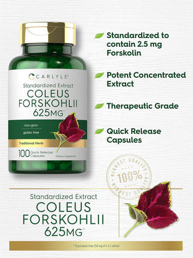 Carlyle Coleus Forskohlii Capsules | 625mg | 100 Count | Non-GMO & Gluten Standardized Extract | Forskolin Supplement