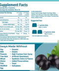 Hyland's s Kids Organic Elderberry Plus Gummies, Organic Black Elderberry with ZINC and Vitamin C, Immune Support for Children, 48 Vegan Gummies (2 Pack)