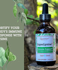 Quantum Health Superlysine+ Liquid Immune Support Supplement - Powerful Lysine Echinacea Vitamin D3 Bee Propolis & Shitake Daily Wellness Blend For Women & Men, Fast Absorption - 2 Ounce