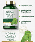 Carlyle Prickly Pear 1950 mg | 180 Capsules | Nopal Cactus Supplement | Non-GMO Gluten