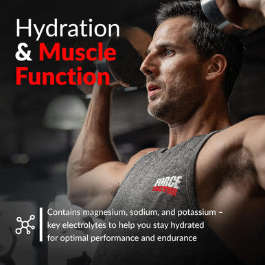 Force Factor Test X180 Pre-Workout Powder & Energy Supplement Boost Focus & Endurance Build Muscle & Strength Nitric Oxide Supplement with Ashwagandaha & L-Citrulline Fruit Punch 30 Servings