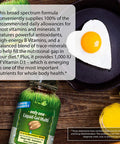 Irwin Naturals Only One Liquid-Gel Multi - No Iron Daily Essential Vitamins Minerals Antioxidants Omega-3 & Green Super Foods - 60 Liquid Softgels