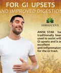 HERBALICIOUS Star Anise Dietary Supplement 100 Capsules Anise Extract For Men And Women Natural 1000Mg Powerful Formula With No Fillers, Preservatives Immune Strength, Rich In Antioxidants