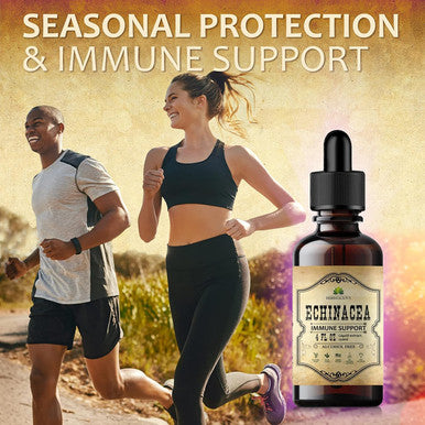 Herbalicious Echinacea Supplement Root Extract Liquid Drops - Antioxidant Rich Formula for Immune Function Support - Vegan Herbal Tincture - Non-GMO Alcohol- & Gluten- 4oz