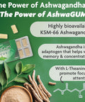 Ashwagum Focus Gum By Bettergum, High Potency Brain Supplement With Ksm 66 Ashwagandha And L Theanine, Supports Concentration And Memory, Alternative To Gummies, Sugar-Free, 10 Pieces - 6 Pack