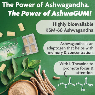 Ashwagum Focus Gum By Bettergum, High Potency Brain Supplement With Ksm 66 Ashwagandha And L Theanine, Supports Concentration And Memory, Alternative To Gummies, Sugar-Free, 10 Pieces - 6 Pack