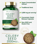 Carlyle Celery Seed Extract Capsules | 2000Mg | 240 Count | Non-Gmo And Gluten Free Formula | Traditional Herb Supplement