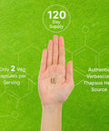 Deal Supplement Mullein Leaf Extract 20000mg 240 Veggie Capsules 4 Month Supply Natural Lung Detox Herbal Supplement Supports Respiratory & Immune Health Non-GMO Vegan