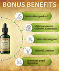 Herbalicious Liquid Chlorophyll Drops - Organic Sodium Copper Chlorophyllin Extract - Cleanse Support Immunity & Energy Boost Natural Deodorant & Detox Vegan Non-GMO Dietary Mint Flavor Green Tincture 2 fl Oz