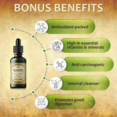 Herbalicious Liquid Chlorophyll Drops - Organic Sodium Copper Chlorophyllin Extract - Cleanse Support Immunity & Energy Boost Natural Deodorant & Detox Vegan Non-GMO Dietary Mint Flavor Green Tincture 2 fl Oz