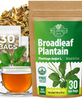 4 oz. White Mulberry Tea Mulberry Leaf Herbal Tea (Morus Alba) - 113g Herb Hoja De Morera