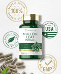 Carlyle Mullein Leaf Capsules 1500Mg | 200 Count | Verbascum Thapsus | Non-Gmo, Gluten Free Supplement