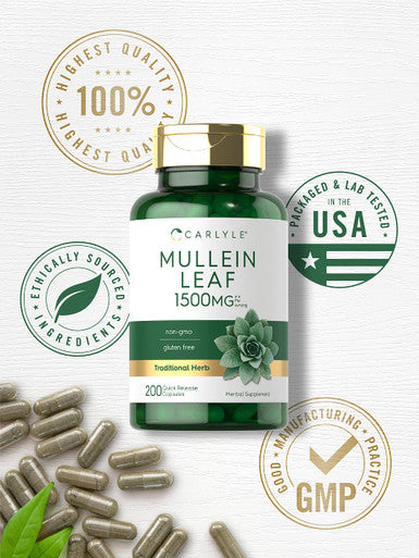 Carlyle Mullein Leaf Capsules 1500Mg | 200 Count | Verbascum Thapsus | Non-Gmo, Gluten Free Supplement