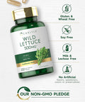 Carlyle Wild Lettuce Extract 500mg | 200 Capsules | Non-GMO Gluten Supplement