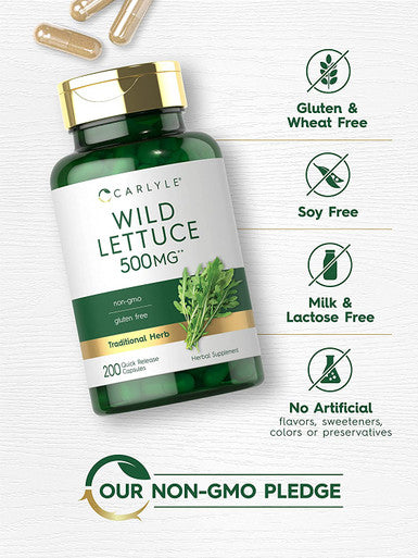 Carlyle Wild Lettuce Extract 500Mg | 200 Capsules | Non-Gmo, Gluten Free Supplement