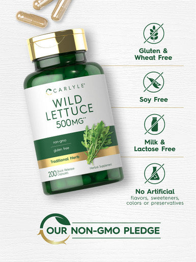 Carlyle Wild Lettuce Extract 500Mg | 200 Capsules | Non-Gmo, Gluten Free Supplement