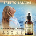 HERBALICIOUS Mullein Leaf Extract - Verbascum Thapsus Liquid Supplement - Herbal Tincture Promoting & Detox Lungs, Respiratory & Digestive Wellness - Lung Cleanse - Vegan Drops, Non-Gmo - 4 Fl. Oz