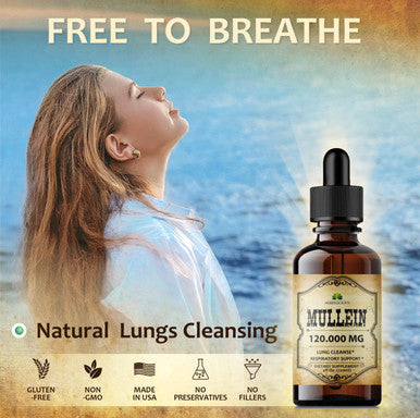 HERBALICIOUS Mullein Leaf Extract - Verbascum Thapsus Liquid Supplement - Herbal Tincture Promoting & Detox Lungs, Respiratory & Digestive Wellness - Lung Cleanse - Vegan Drops, Non-Gmo - 4 Fl. Oz
