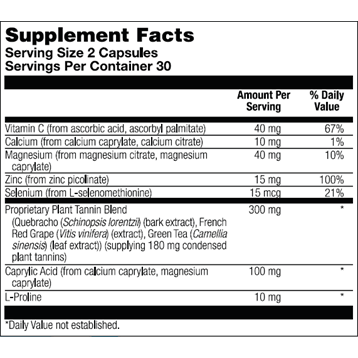 DysbioX 60 vegcaps by BioGenesis