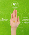 Deal Supplement Bioactive Vitamin B Complex 240 Veggie Capsules - Methylated Multivitamin B Complex & Esterified Vitamin C High Potency & Easy Absorption Immune Energy & Metabolism Supplement Non-GMO